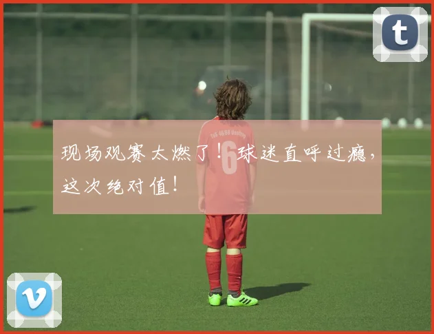 现场观赛太燃了！球迷直呼过瘾，这次绝对值！